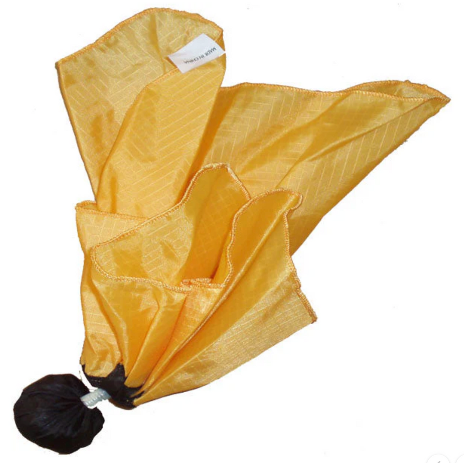 Ball Style Penalty Flag